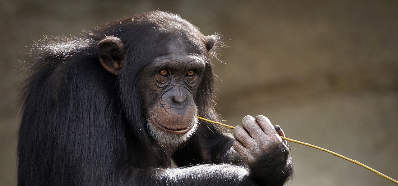 【FACTFULNESS】「世界の真実はデータの中にある」01