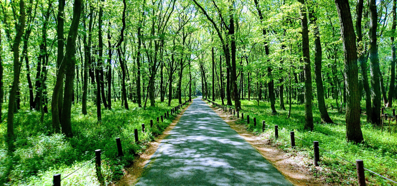 第20回【邦画】PERFECT DAYS「丁寧に生きることが豊かさの本質」01