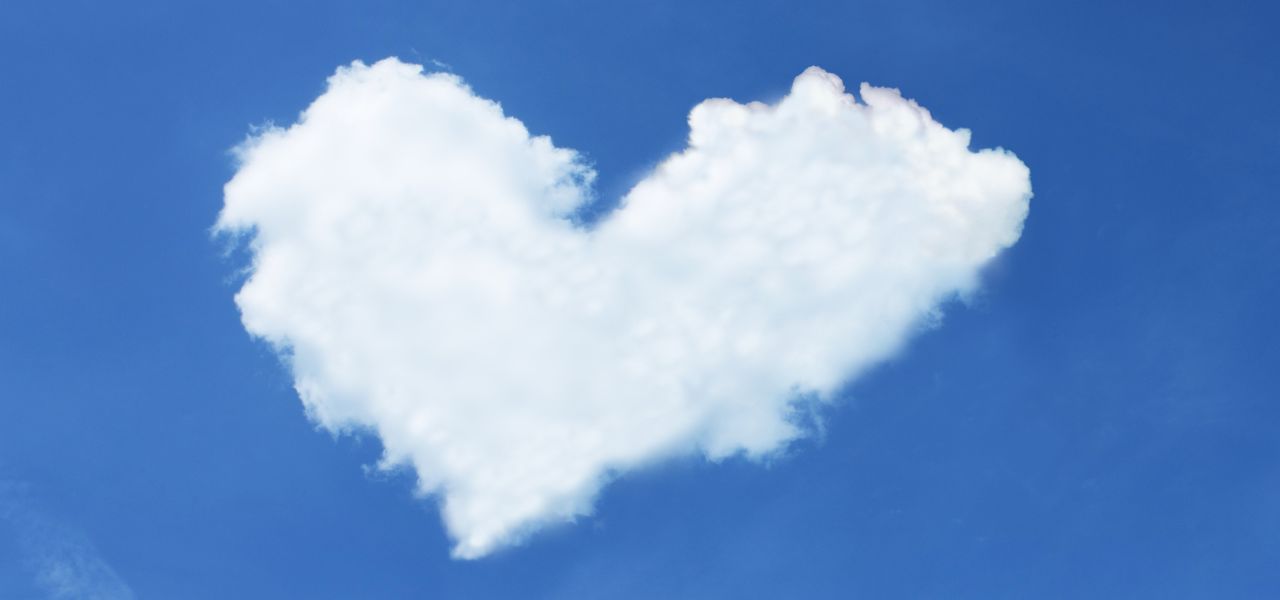 第20回【邦画】PERFECT DAYS「丁寧に生きることが豊かさの本質」05