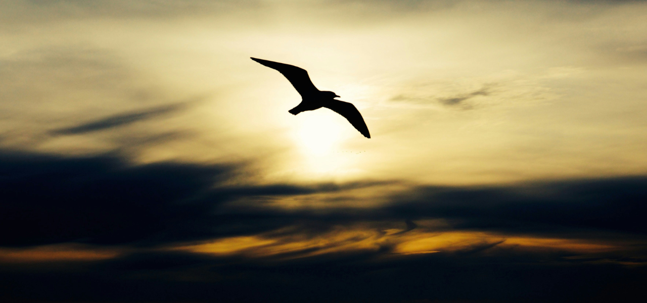 【アメリカ映画】ショーシャンクの空に「希望は最良のものだ。そして良いものは決して消えない」06