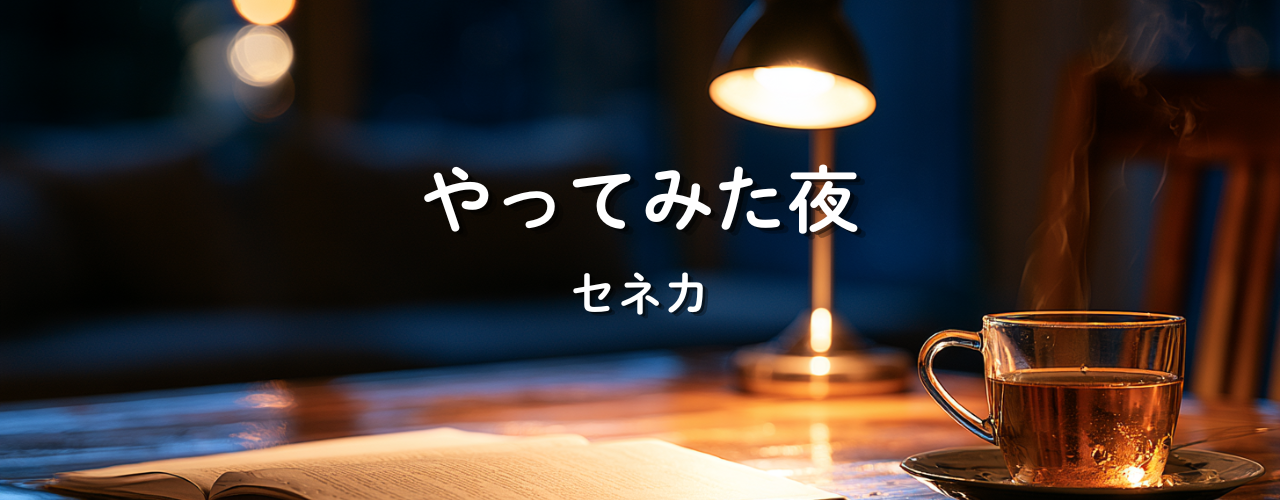 【偉人の言葉】「やってみた夜」